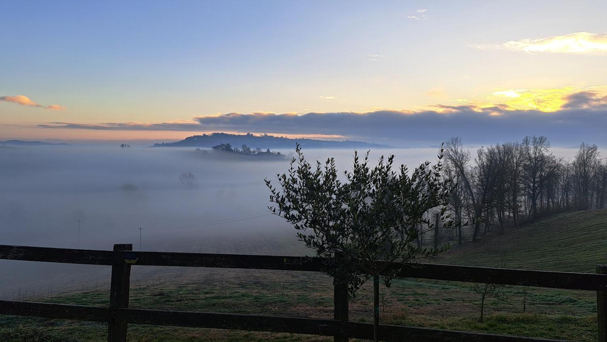 Cascina Fazioli Villa Alfiano Natta Eksteriør billede